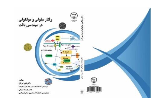 رفتار سلولی و مولکولی در مهندسی بافت